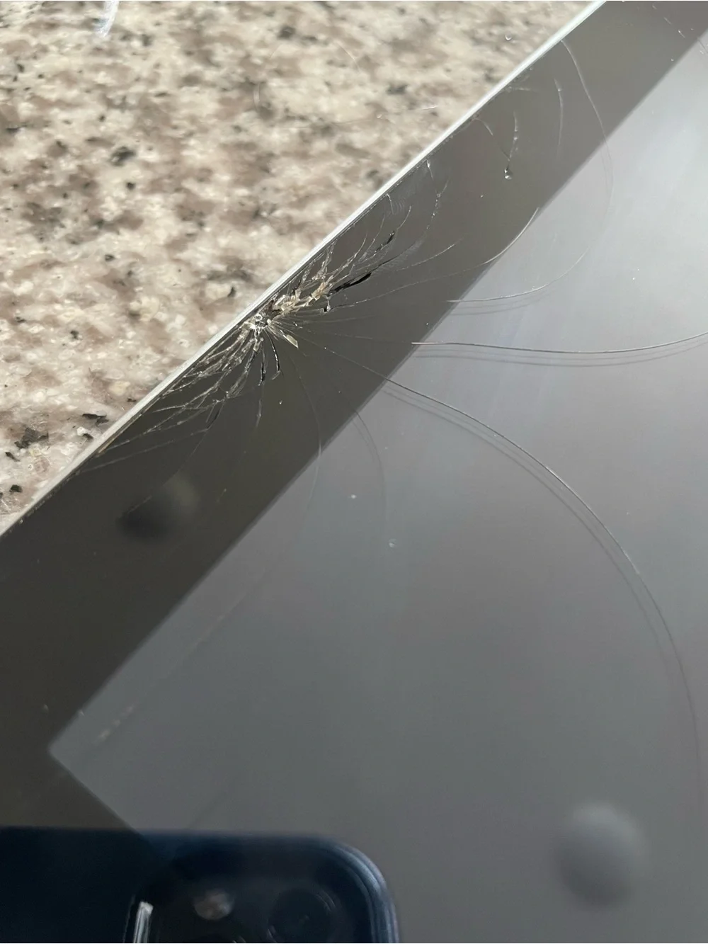 Apple iPad with Charger